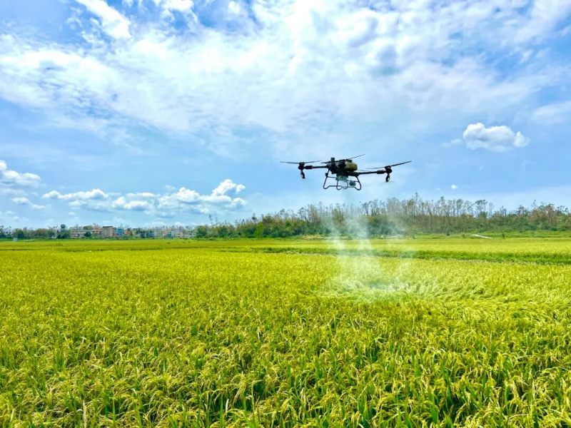 1760490879485466KY9m.png 图片2.png