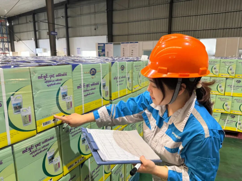 1760493739921877Qobg.png 图片6.png